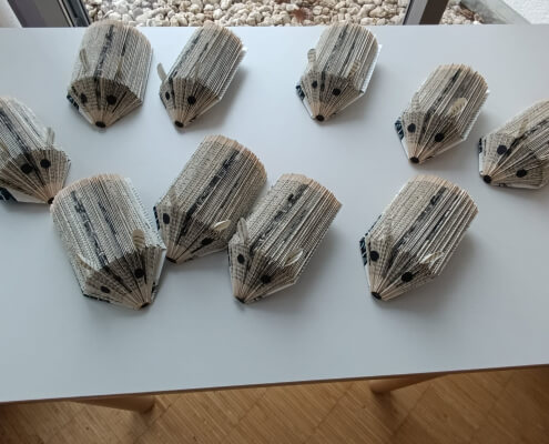 0d47a361-5281-415d-bb07-6fe3c350b00c